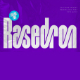 Rasedron - Modern  logo Font - GraphicRiver Item for Sale